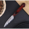 Овощной нож SAMURA KAIJU SKJ-0011B/K